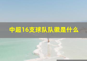 中超16支球队队徽是什么