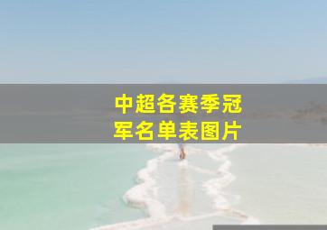 中超各赛季冠军名单表图片