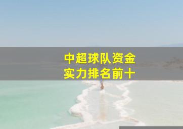 中超球队资金实力排名前十