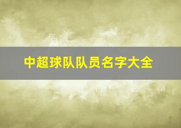 中超球队队员名字大全