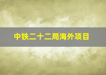 中铁二十二局海外项目