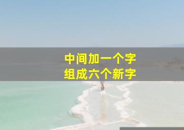 中间加一个字组成六个新字