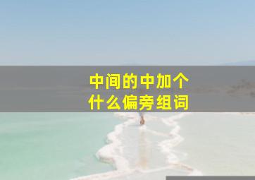 中间的中加个什么偏旁组词