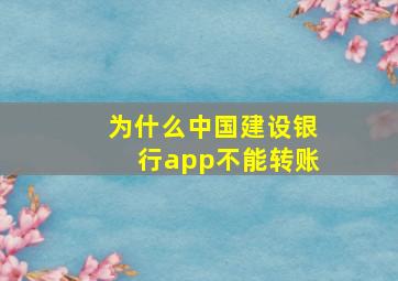 为什么中国建设银行app不能转账