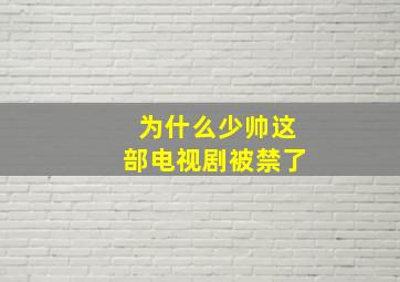 为什么少帅这部电视剧被禁了