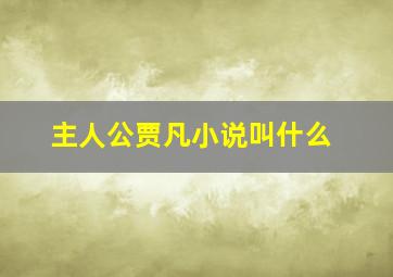 主人公贾凡小说叫什么