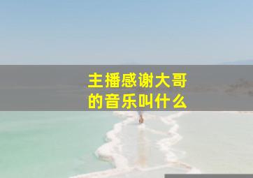 主播感谢大哥的音乐叫什么