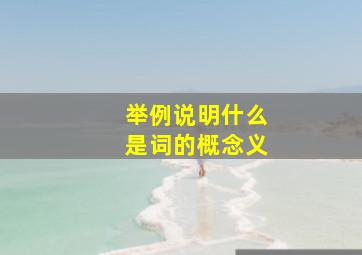 举例说明什么是词的概念义