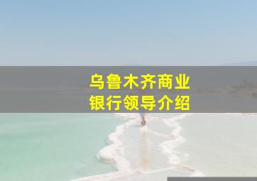 乌鲁木齐商业银行领导介绍