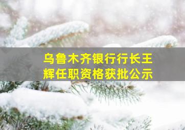 乌鲁木齐银行行长王辉任职资格获批公示