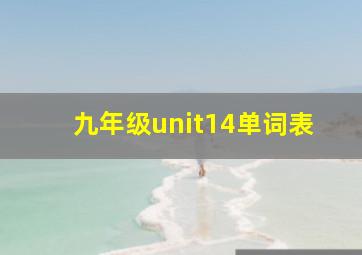 九年级unit14单词表