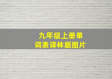 九年级上册单词表译林版图片