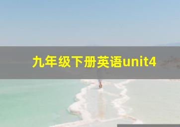 九年级下册英语unit4