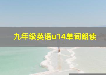 九年级英语u14单词朗读