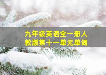 九年级英语全一册人教版第十一单元单词