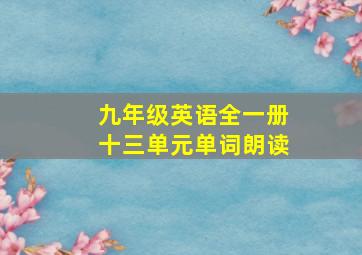 九年级英语全一册十三单元单词朗读