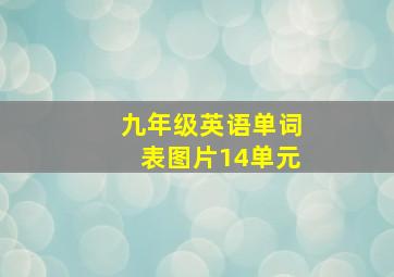 九年级英语单词表图片14单元