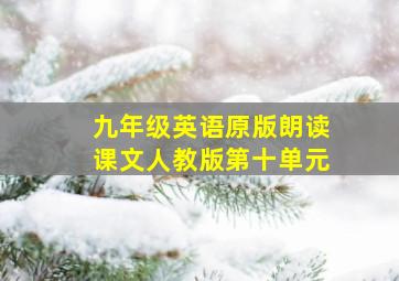 九年级英语原版朗读课文人教版第十单元