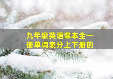 九年级英语课本全一册单词表分上下册的