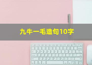 九牛一毛造句10字