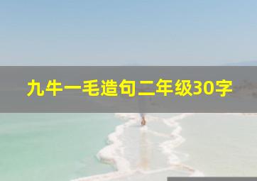 九牛一毛造句二年级30字