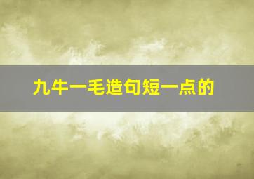 九牛一毛造句短一点的