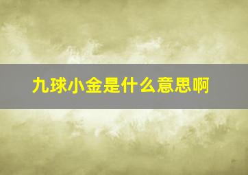 九球小金是什么意思啊