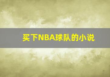 买下NBA球队的小说