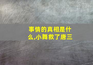 事情的真相是什么,小舞救了唐三