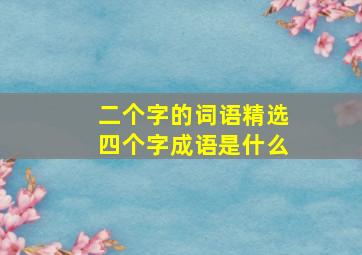 二个字的词语精选四个字成语是什么