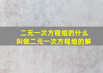 二元一次方程组的什么叫做二元一次方程组的解