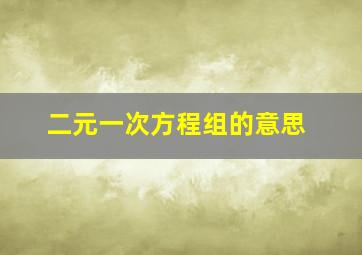 二元一次方程组的意思