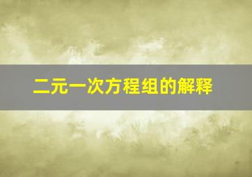 二元一次方程组的解释