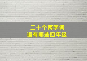 二十个两字词语有哪些四年级