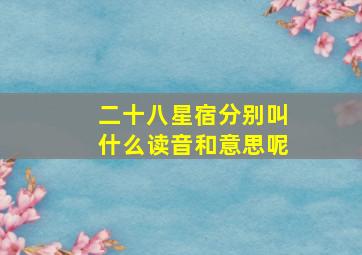 二十八星宿分别叫什么读音和意思呢