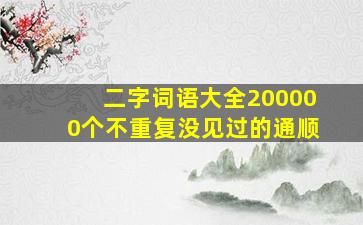 二字词语大全200000个不重复没见过的通顺