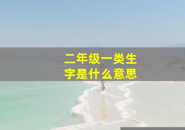 二年级一类生字是什么意思