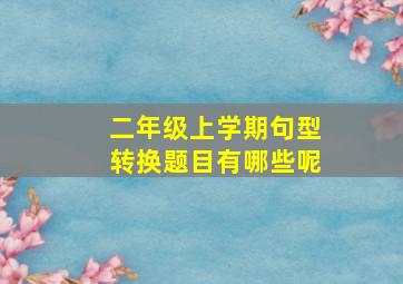 二年级上学期句型转换题目有哪些呢