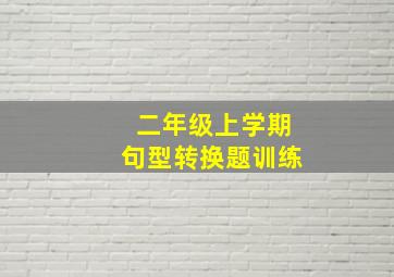 二年级上学期句型转换题训练