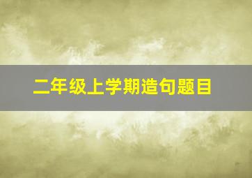 二年级上学期造句题目