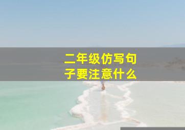 二年级仿写句子要注意什么