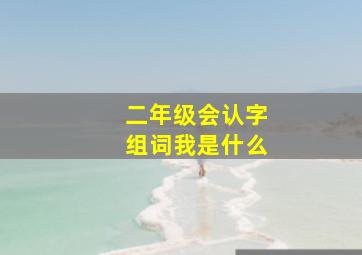 二年级会认字组词我是什么