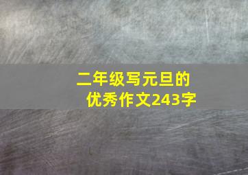 二年级写元旦的优秀作文243字