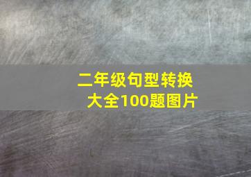 二年级句型转换大全100题图片