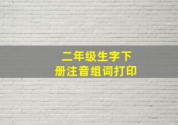 二年级生字下册注音组词打印