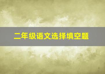 二年级语文选择填空题