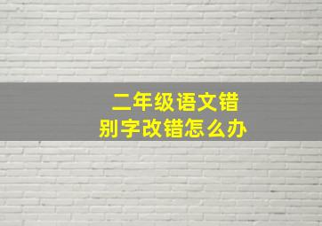 二年级语文错别字改错怎么办