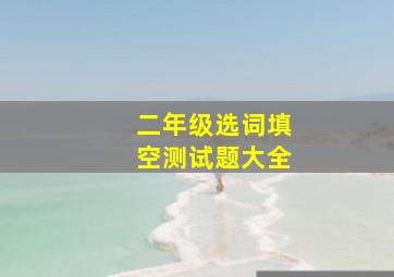 二年级选词填空测试题大全