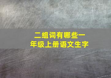 二组词有哪些一年级上册语文生字