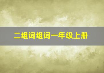 二组词组词一年级上册